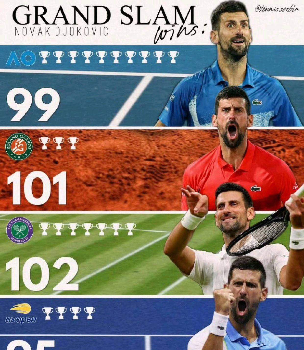 亚博- 德约科维奇回塞尔维亚庆祝夺金 